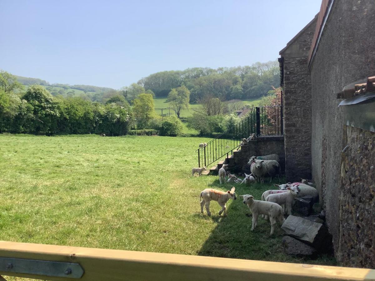 Hayloft Villa Cheddar Luaran gambar